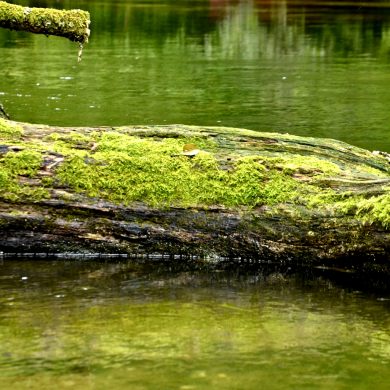 Slider8